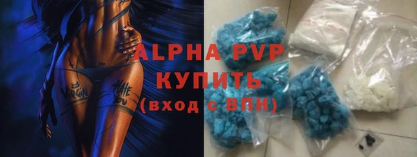 мдпв Богданович