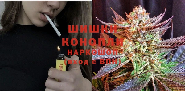 мдпв Богданович