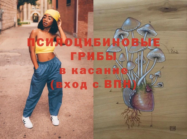 а пвп мука Богородицк